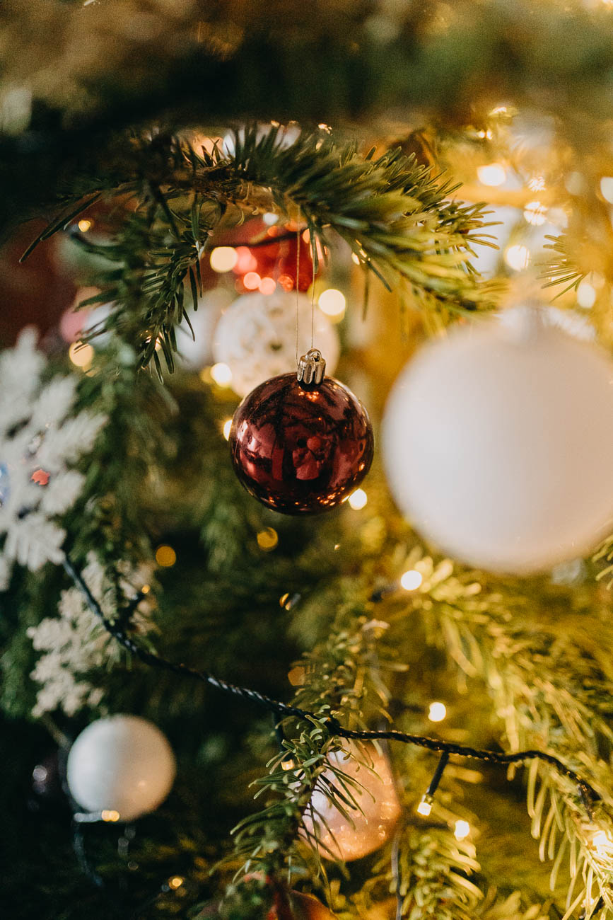 Sesja świąteczna w domu | Kraków 8 sesja świąteczna w domu